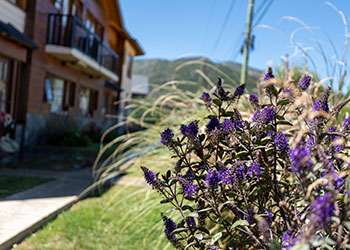 Departamentos Calihue en Bariloche